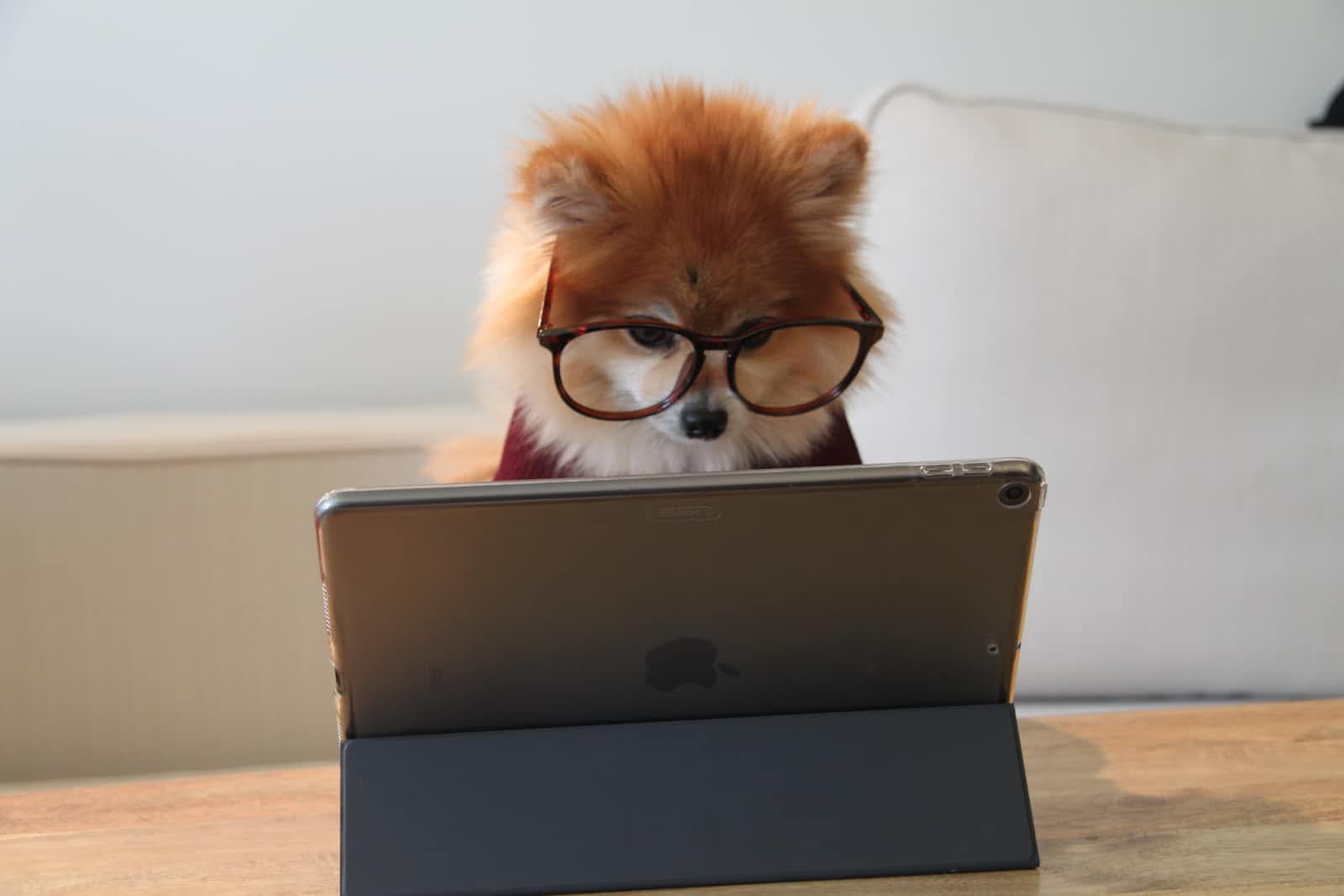 How does the Internet Work? - An easy explanation